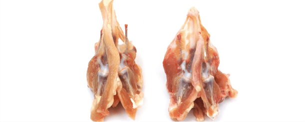 HUESO DE PECHUGA DE POLLO