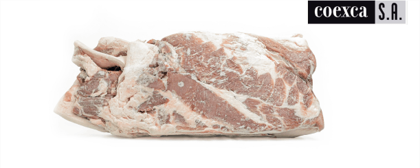 BARRIGUERO AMERICANO SIN PIEL